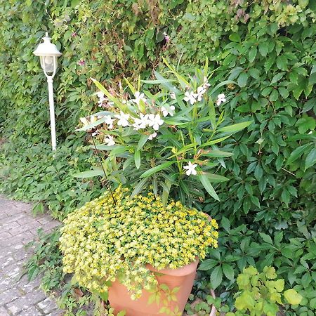 Pension Haus Anneliese Ückeritz Zewnętrze zdjęcie
