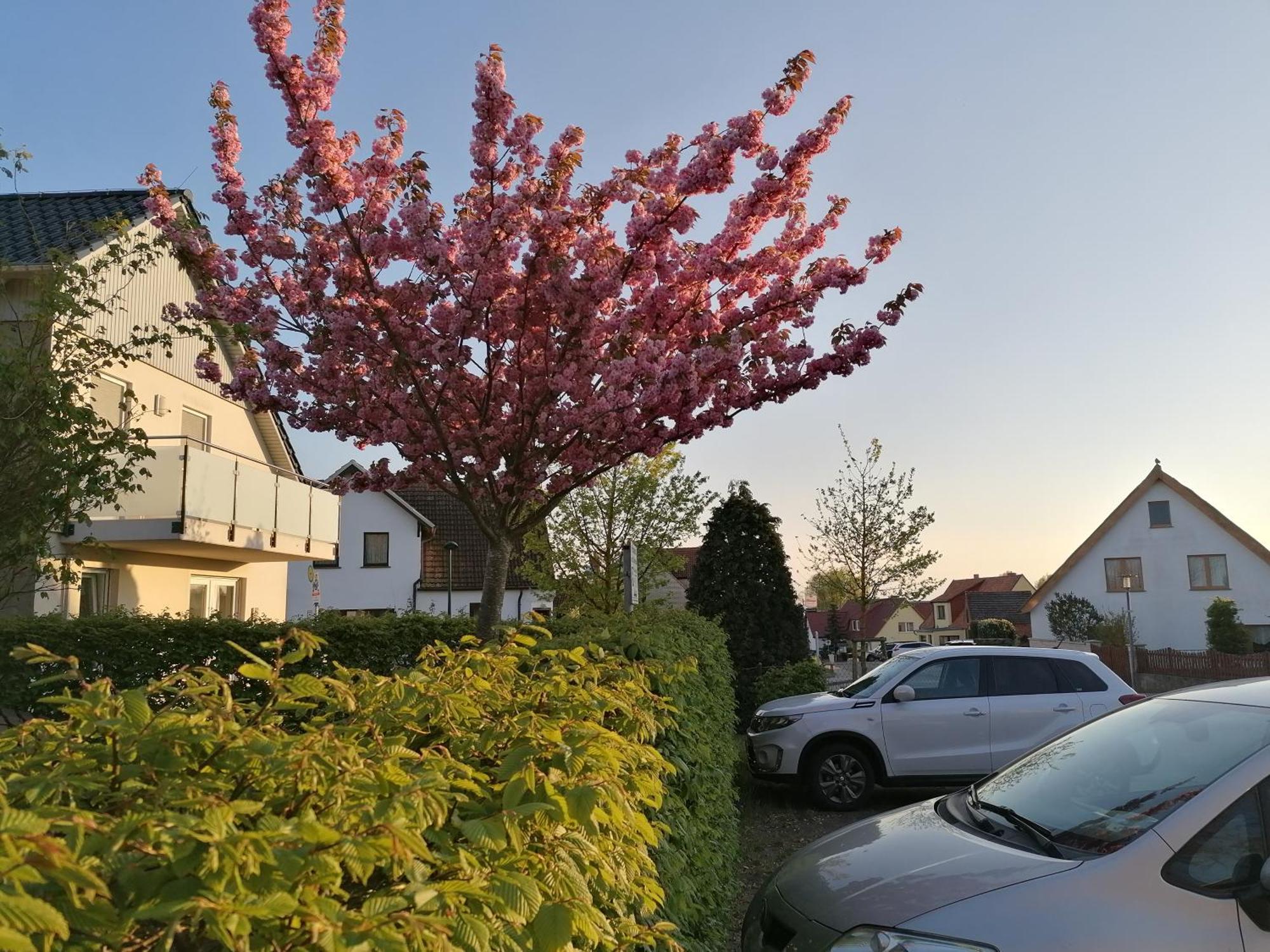 Pension Haus Anneliese Ückeritz Zewnętrze zdjęcie