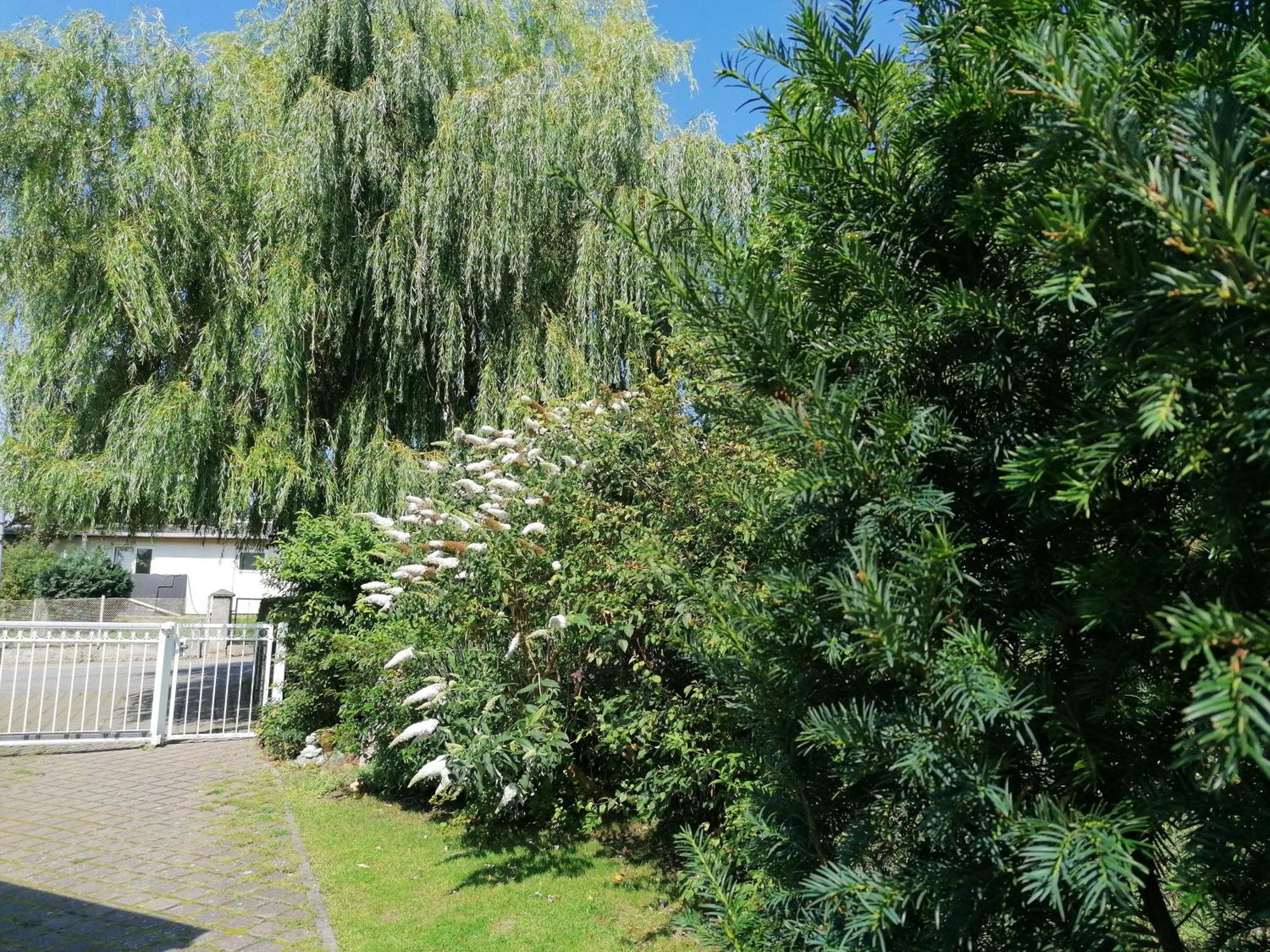 Pension Haus Anneliese Ückeritz Zewnętrze zdjęcie