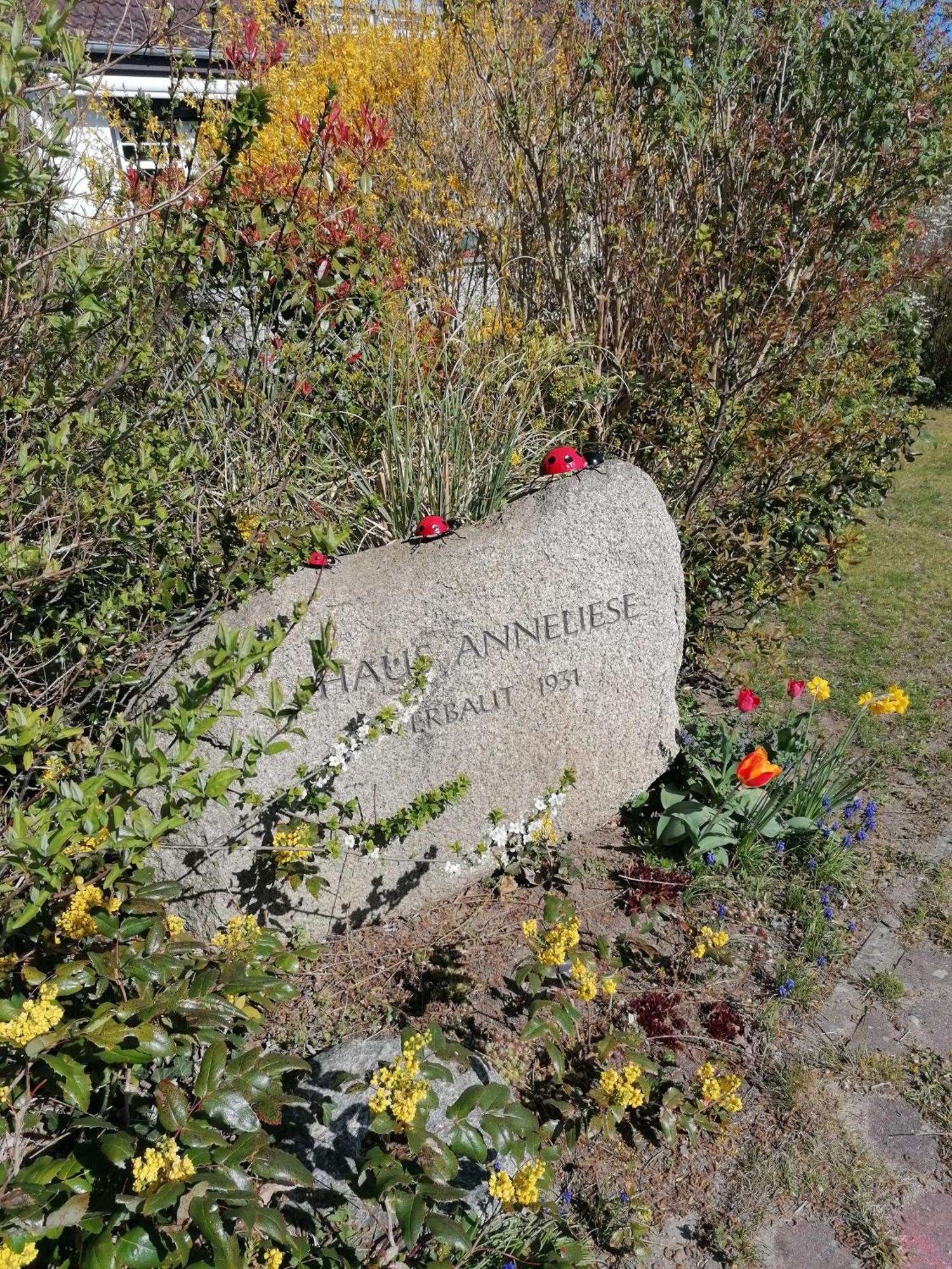Pension Haus Anneliese Ückeritz Zewnętrze zdjęcie